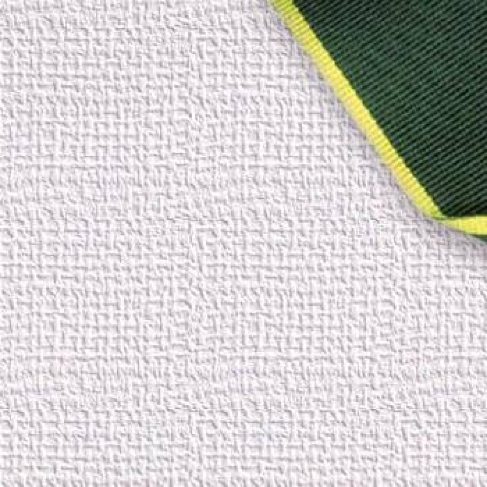 International Scouts Australia