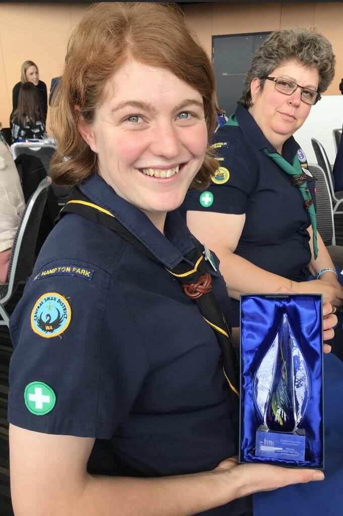 Scouts SES Badge Scouts Australia