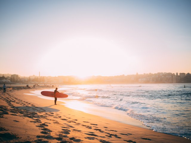 Lone Surfer Standing on Beach Australia Day Honours
