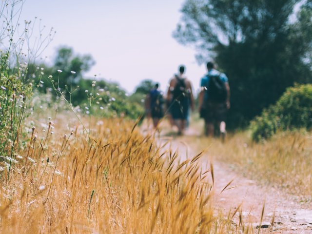 Adult Conversations Scouts Hiking Bush Track