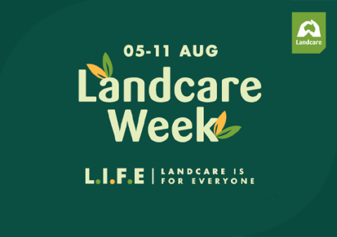 Landcare Week 2024 | Scouts Australia